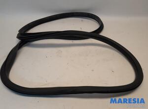 Door Seal ALFA ROMEO Giulia (952)