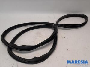 Door Seal ALFA ROMEO Giulietta (940)