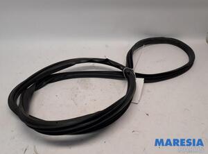 Door Seal ALFA ROMEO Giulietta (940)