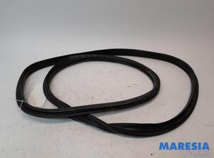 Door Seal ALFA ROMEO GIULIA (952_)