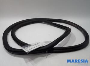 Door Seal PEUGEOT 2008 II (UD_, US_, UY_, UK_)