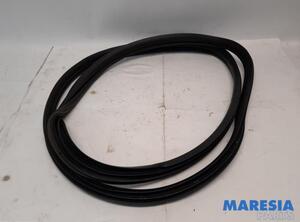 Door Seal FIAT PANDA (312_, 319_), LANCIA YPSILON (312_), FIAT PANDA VAN (312_, 519_)