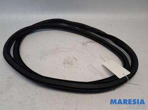 Door Seal CITROËN C4 III (BA_, BB_, BC_)