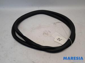 Door Seal CITROËN C4 III (BA_, BB_, BC_)