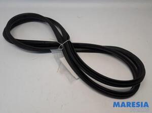 Door Seal PEUGEOT 5008 (0U_, 0E_)