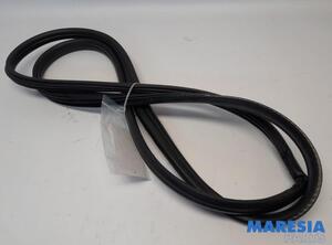 Door Seal PEUGEOT 5008 (0U_, 0E_)