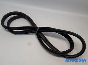 Door Seal RENAULT CAPTUR I (J5_, H5_), RENAULT CLIO IV (BH_), RENAULT CLIO IV Grandtour (KH_)