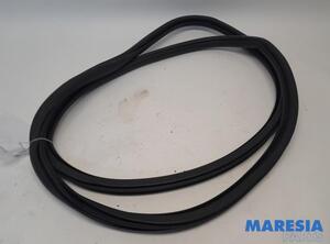 Door Seal PEUGEOT 308 II (LB_, LP_, LW_, LH_, L3_), PEUGEOT 308 SW II (LC_, LJ_, LR_, LX_, L4_)