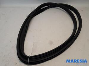 Door Seal FIAT 500 (312_), FIAT 500 C (312_)