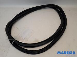 Door Seal PEUGEOT 3008 SUV (MC_, MR_, MJ_, M4_)