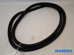 Door Seal PEUGEOT 3008 SUV (MC_, MR_, MJ_, M4_)