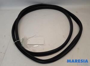 Door Seal PEUGEOT 3008 MPV (0U_), PEUGEOT 5008 (0U_, 0E_)