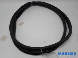 Door Seal FIAT 500 (312_), FIAT 500 C (312_)