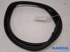 Door Seal FIAT PANDA (312_, 319_), FIAT PANDA VAN (312_, 519_), LANCIA YPSILON (312_)