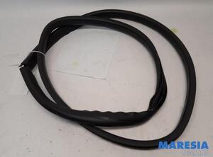 Door Seal RENAULT TWINGO III (BCM_, BCA_)