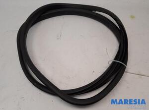 Door Seal RENAULT TWINGO III (BCM_, BCA_)