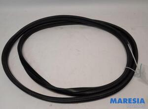 Door Seal PEUGEOT 3008 MPV (0U_), PEUGEOT 5008 (0U_, 0E_)