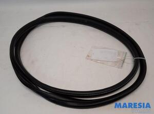 Door Seal PEUGEOT 5008 (0U_, 0E_)