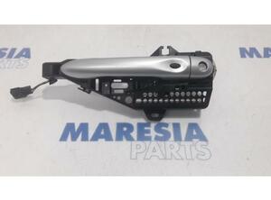 Door Handle RENAULT Captur I (H5, J5), RENAULT Clio IV (BH)