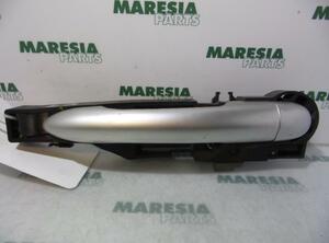 Door Handle RENAULT Modus/Grand Modus (F/JP0)