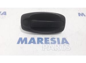 Door Handle FIAT FIORINO Box Body/MPV (225_), FIAT QUBO (225_)