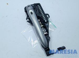 Door Handle RENAULT Zoe (BFM)