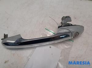 Door Handle FIAT 500 (312), FIAT 500 C (312), FIAT 500/595/695 (312), FIAT 500C/595C/695C (312)