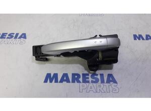 Door Handle RENAULT MEGANE IV Grandtour (K9A/M/N_)