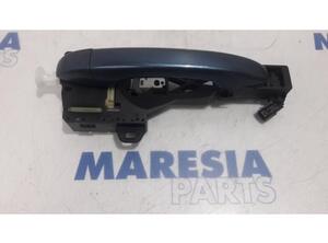 Door Handle RENAULT MEGANE IV Hatchback (B9A/M/N_)