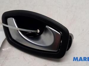 Door Handle RENAULT CAPTUR I (J5_, H5_), RENAULT CLIO IV (BH_)