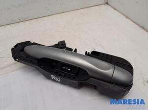 Door Handle RENAULT SCÉNIC III (JZ0/1_)