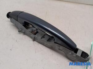 Door Handle PEUGEOT PARTNER TEPEE, PEUGEOT PARTNER Box Body/MPV, BMW X5 (F15, F85), PEUGEOT 301