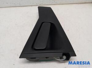 Door Handle RENAULT CLIO IV Grandtour (KH_)