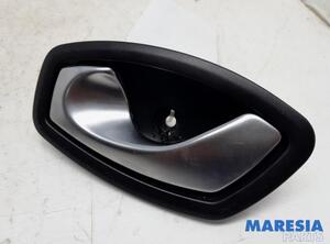 Door Handle RENAULT GRAND SCÉNIC III (JZ0/1_), RENAULT SCÉNIC III (JZ0/1_)