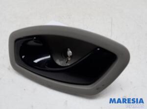 Door Handle OPEL VIVARO B Van (X82)