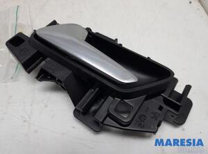 Door Handle DS DS 3 / DS 3 CROSSBACK (UR_, UC_, UJ_)