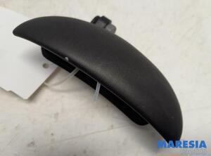 Door Handle PEUGEOT 107 (PM_, PN_)