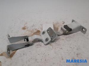 Door Hinge RENAULT Kangoo Express (FW0/1), RENAULT Kangoo/Grand Kangoo (KW0/1)