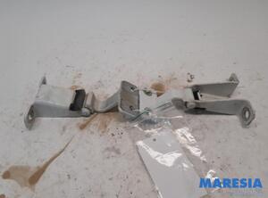 Door Hinge RENAULT Kangoo Express (FW0/1), RENAULT Kangoo/Grand Kangoo (KW0/1)