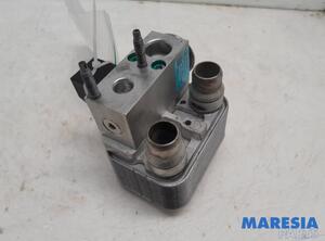 Air Conditioning Expansion Valve CITROËN C4 III (BA_, BB_, BC_)