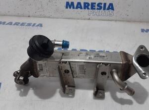 EGR Valve RENAULT ESPACE IV (JK0/1_)