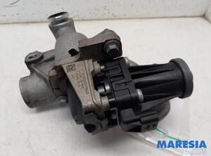 EGR Valve RENAULT CAPTUR I (J5_, H5_)