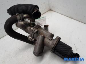 EGR Valve FIAT DOBLO Cargo (263_), FIAT GRANDE PUNTO (199_), FIAT PUNTO EVO (199_), ALFA ROMEO MITO (955_)