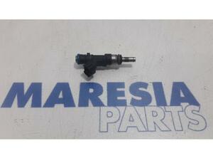 Injector Nozzle RENAULT Captur I (H5, J5), RENAULT Clio IV (BH)