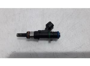 Injector Nozzle RENAULT Captur I (H5, J5), RENAULT Clio IV (BH)