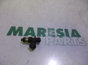 Injector Nozzle RENAULT Twingo II (CN0)