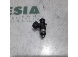 Injector Nozzle RENAULT Clio III (BR0/1, CR0/1), RENAULT Clio IV (BH)