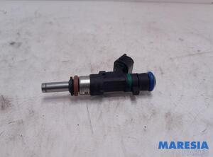 Injector Nozzle RENAULT Captur I (H5, J5), RENAULT Clio IV (BH)