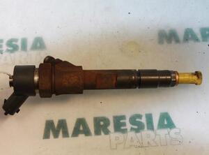 Injector Nozzle RENAULT MEGANE II Coupé-Cabriolet (EM0/1_)