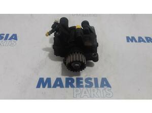 Fuel Pump RENAULT MEGANE III Grandtour (KZ0/1)